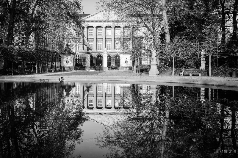 reflection of building in water black and white