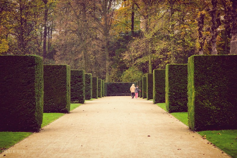 abbaye de la cambre brussels