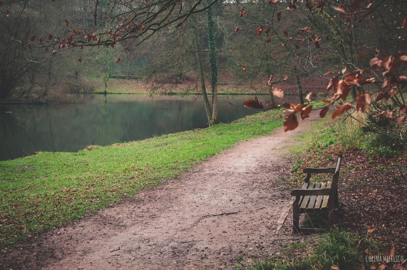 alley tournay solvay