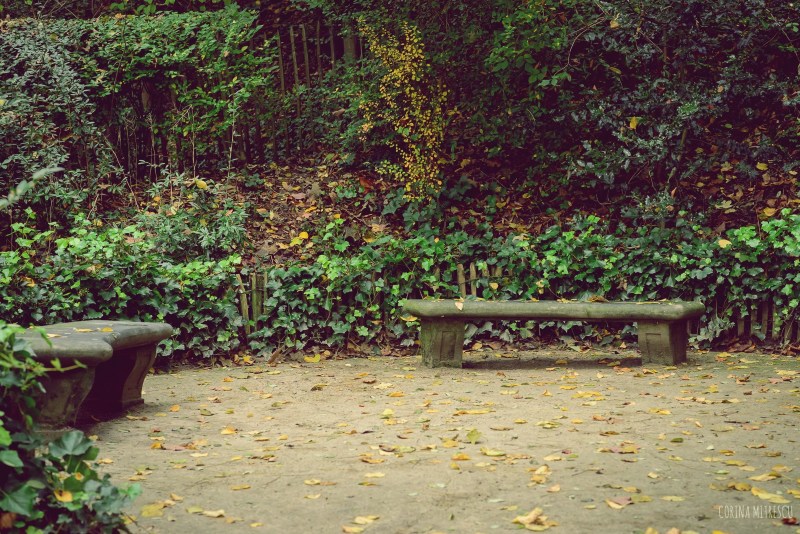 bench in abbaye parc cambre brussels