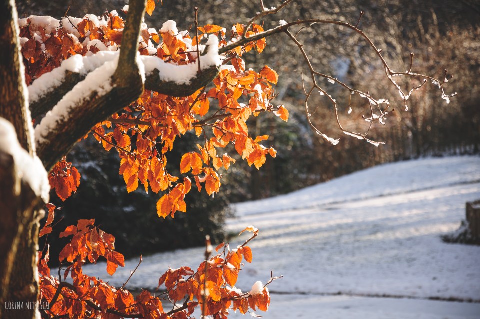 brussels snow december 2014