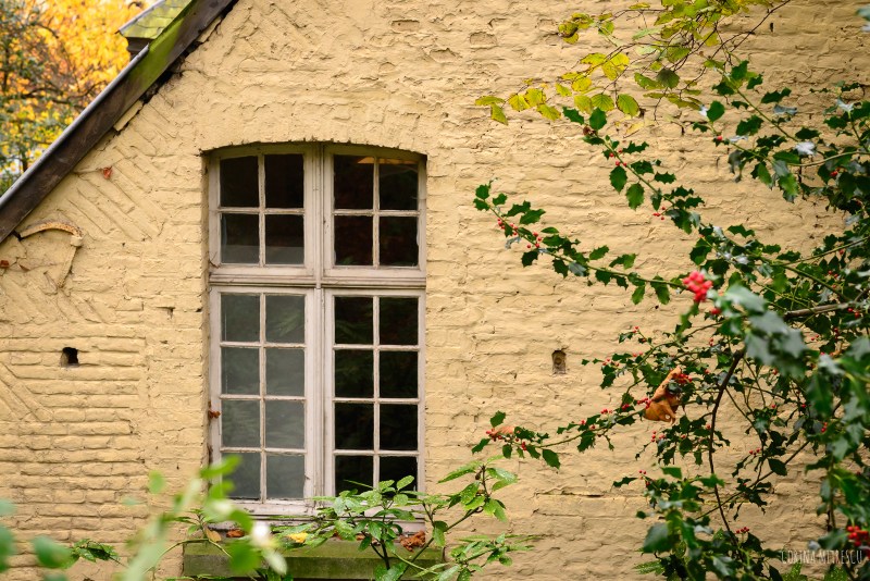 building in parc abbaye cambre brussels