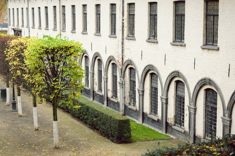building in parc de l'abbaye