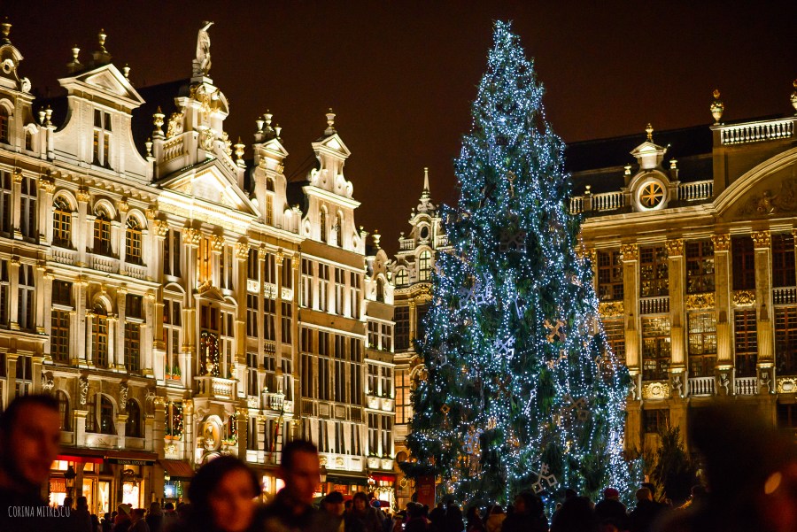 christmas tree 2014 brussels grand place