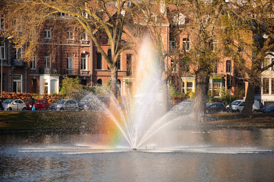 fountain rainbow