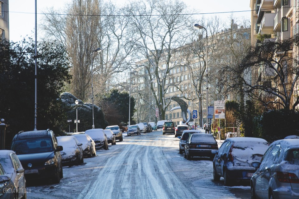 ixelles winter brussels belgium 2014