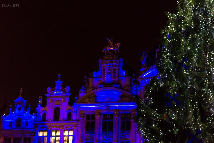 light show brussels 2014