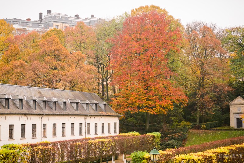 parc de l'abbaye in brussels belgium