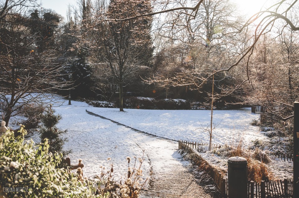 parc tenbosch bruxelles