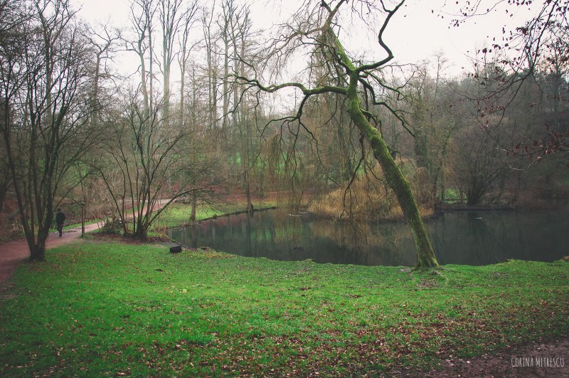 tournay solvay bruxelles