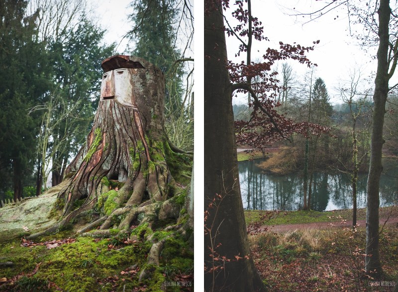 trees park tournay solvay