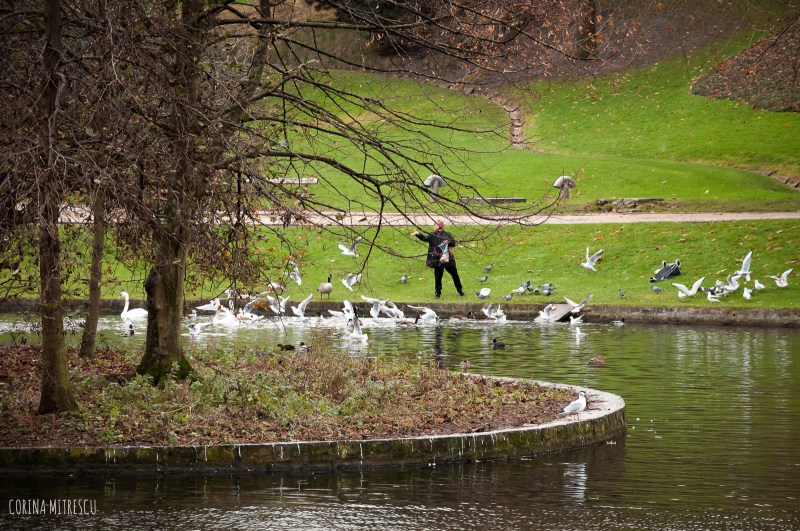 woman feeding bird in park