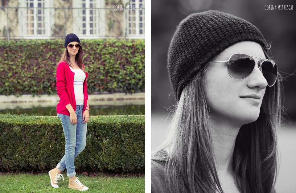 andreea la hulpe castle