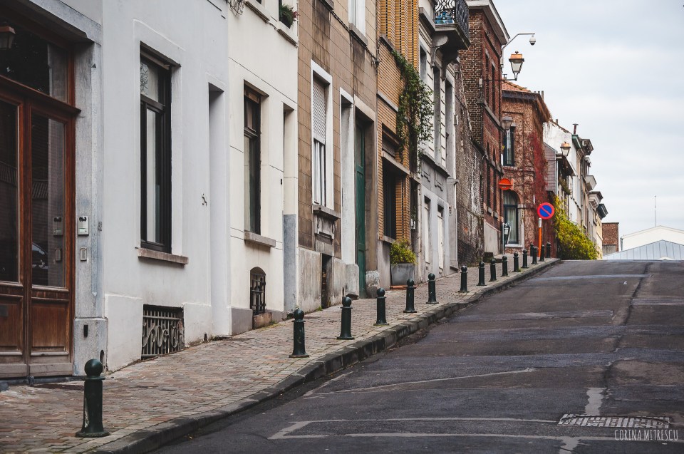 ixelles street houses