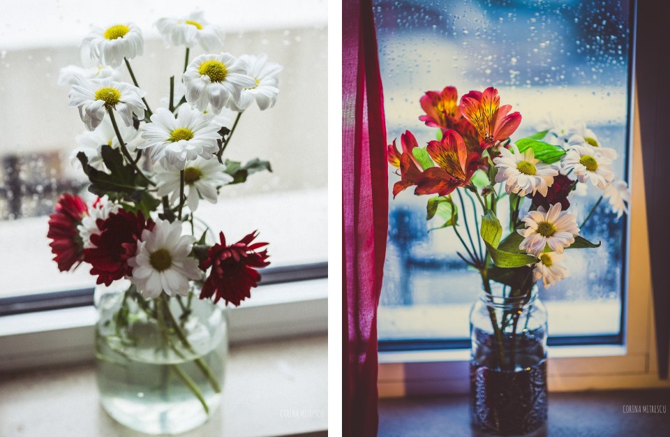 jar with flowers at window