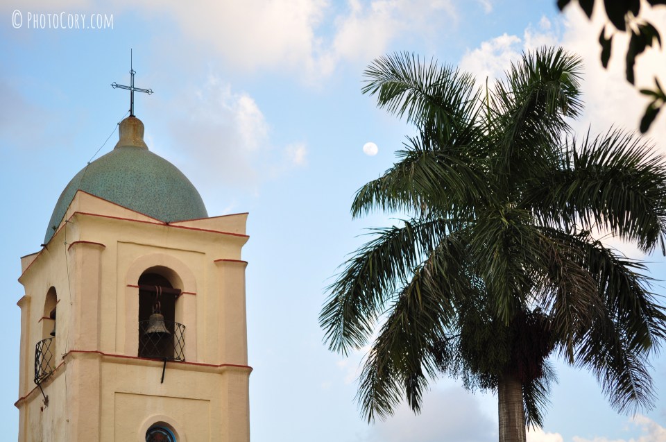 church palmtree and moon
