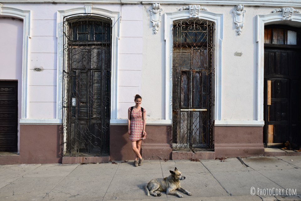 cienfuegos cuba dog and windows