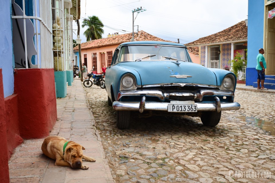 dog and old car in cuba