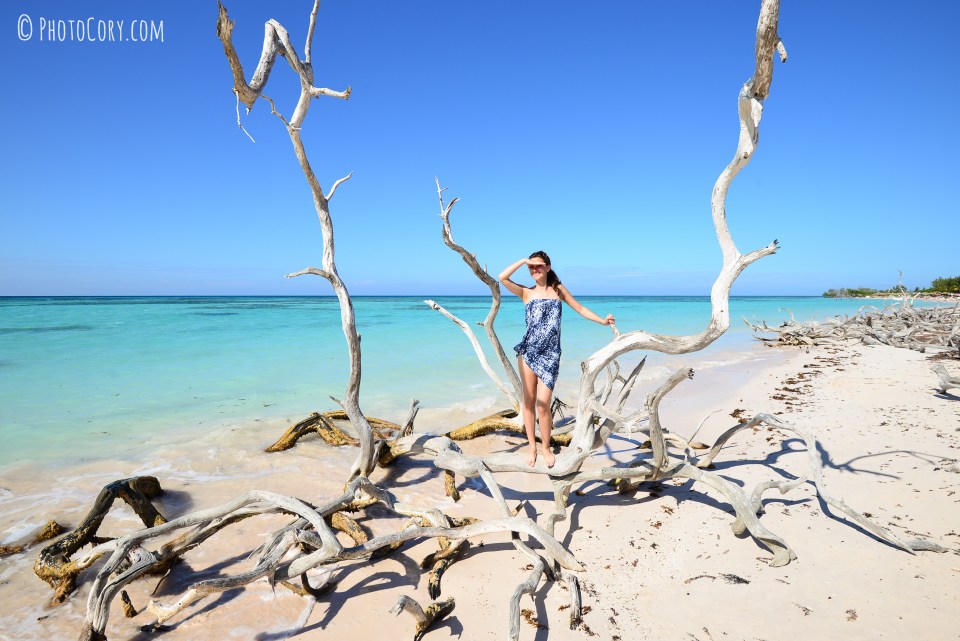 drifted wook cayo jutias