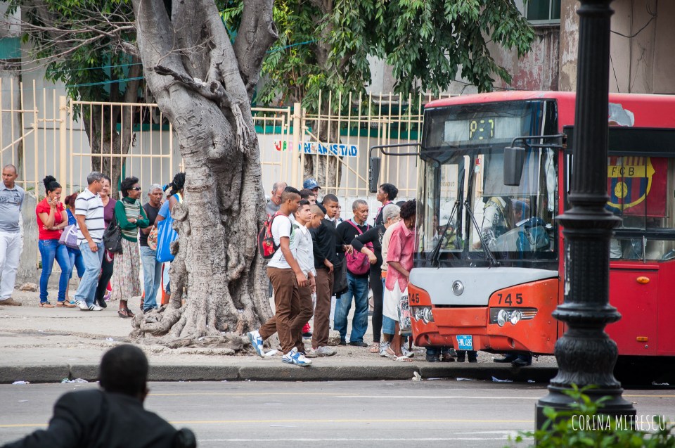 waiting in line for bus in havana