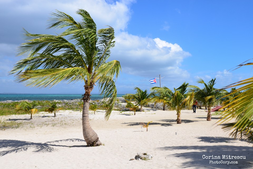 beautiful beach with palmtrees on cayo blanco in cuba