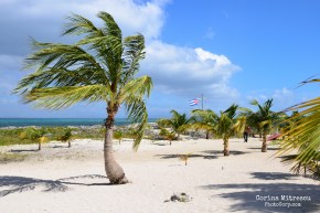 beautiful beach with palmtrees on cayo blanco in cuba
