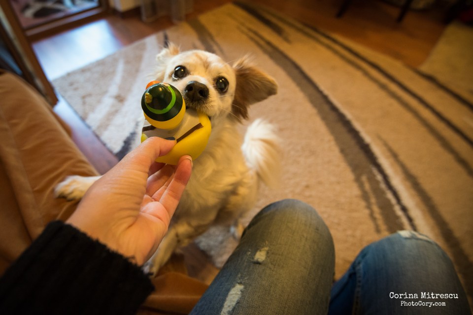 miki se joaca cu jucaria din plastic