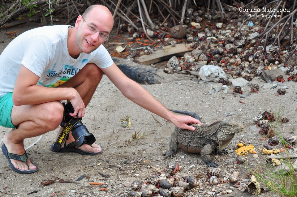 touching an iguana