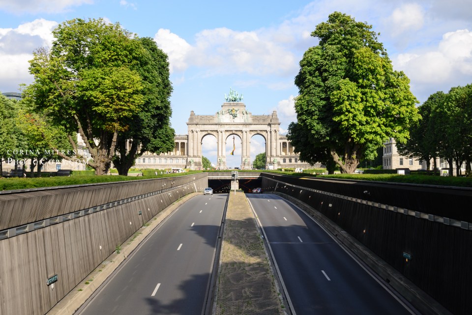 cinquantenaire