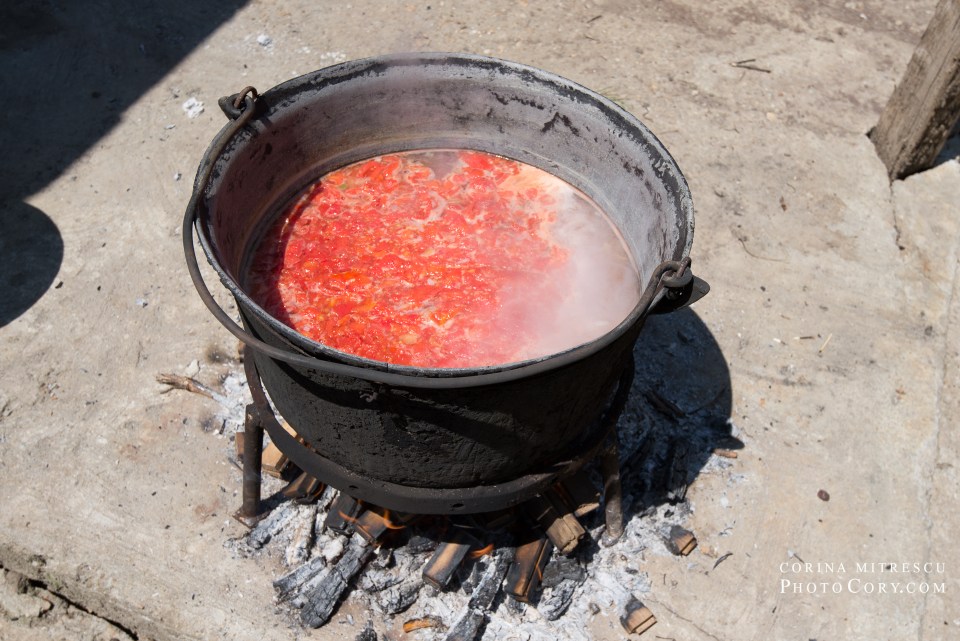 ciorba de peste la ceaun