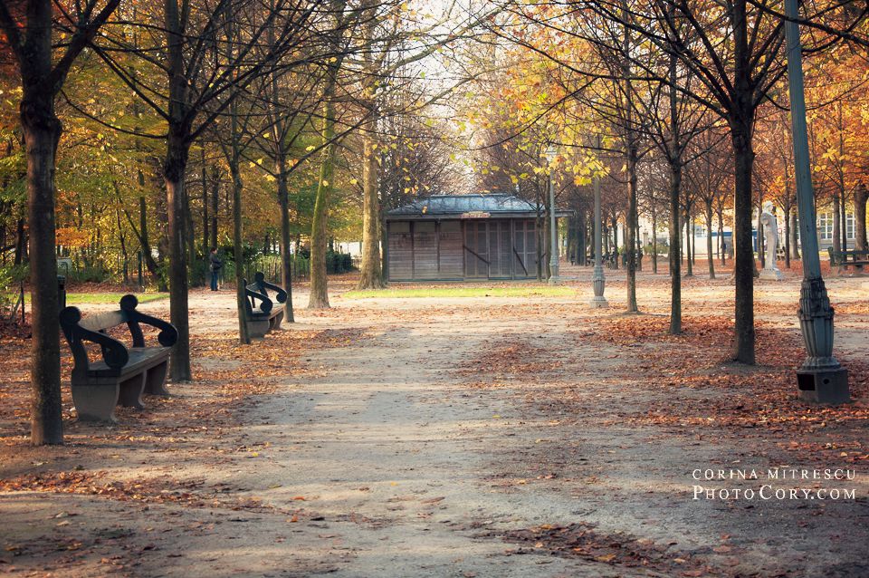 autumn park