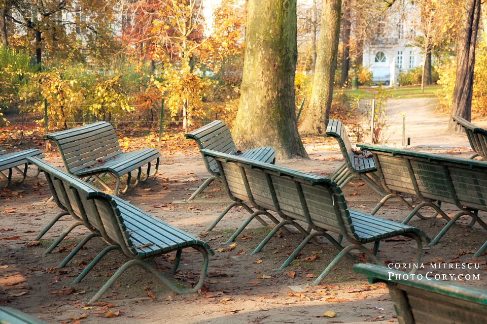 benches autumn photos