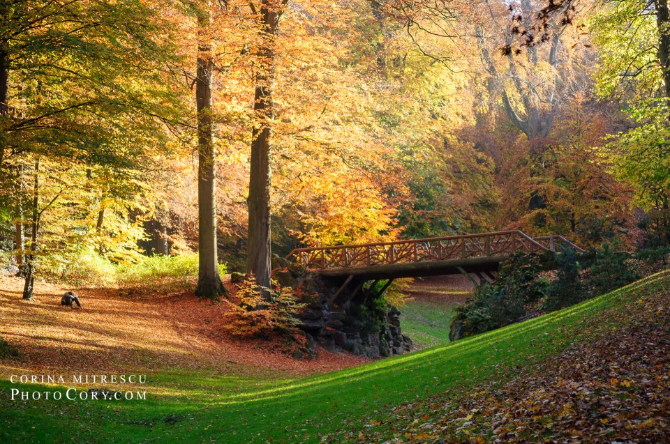 bois de la cambre bridge