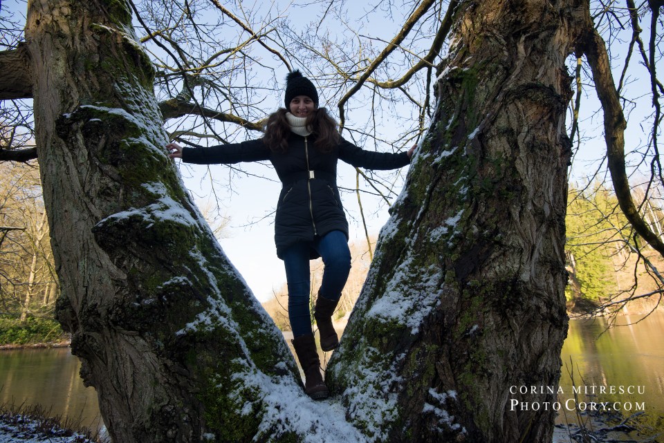 beteween tree branches