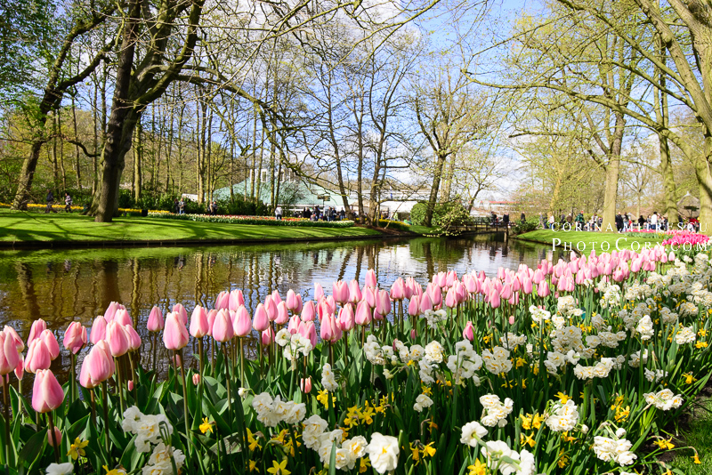 holland keukenhof