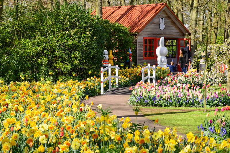 keukenhof little house