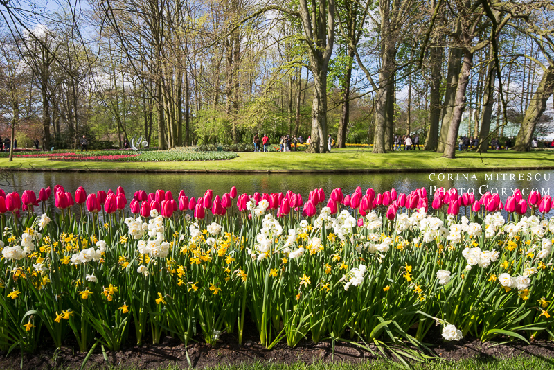 keukenhof parc holland
