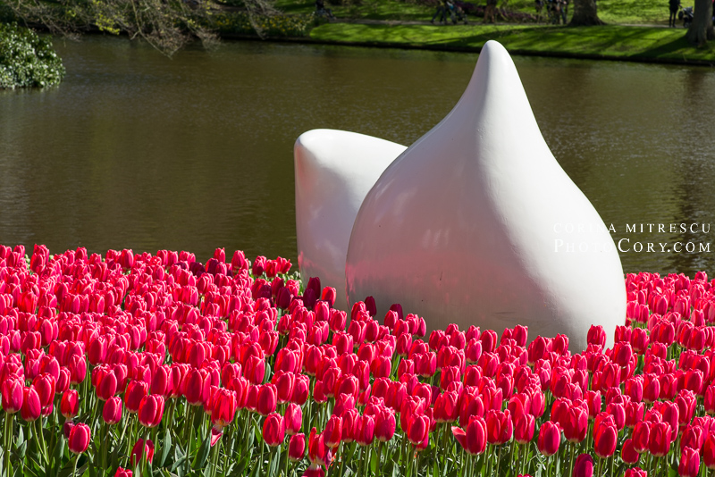 red tulips and white statue keukenhof