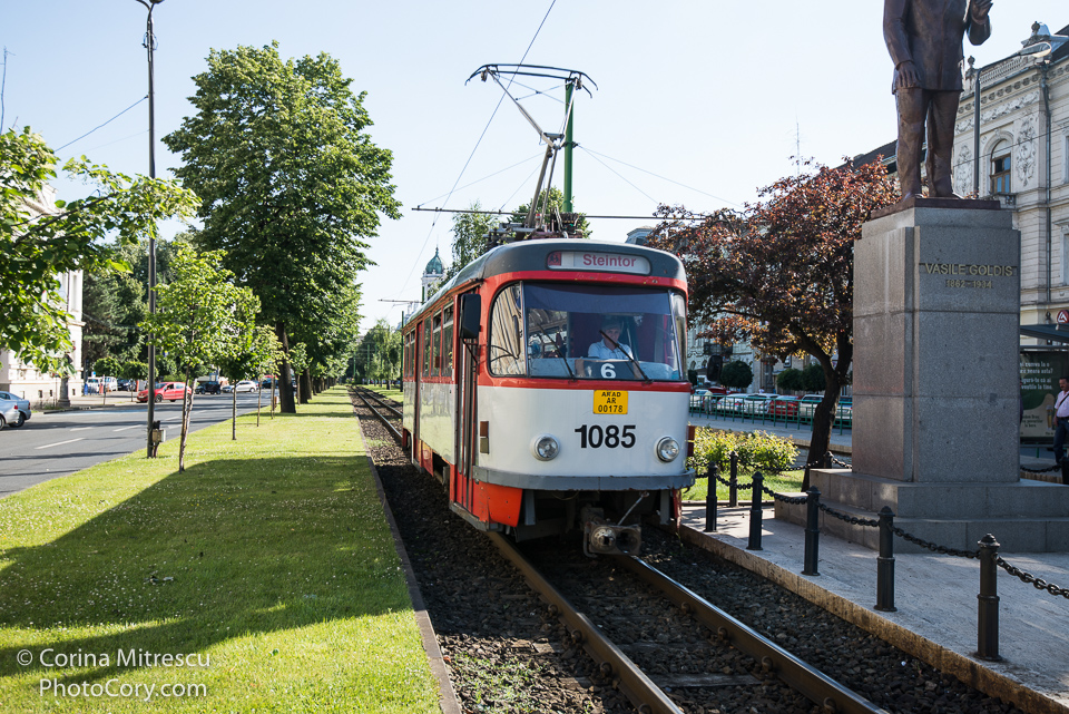 tramvai arad