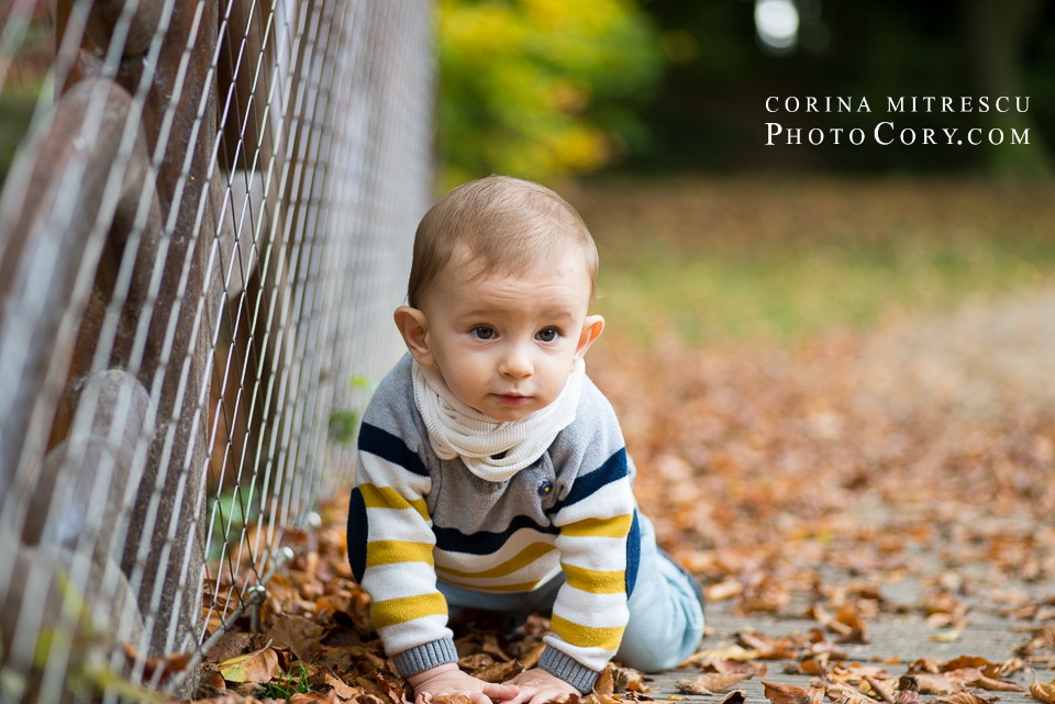 baby-crawling-at-11-months