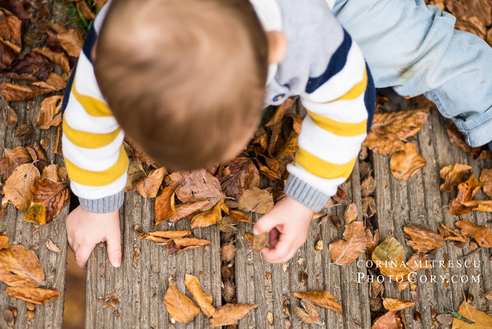 baby-leaves-autum