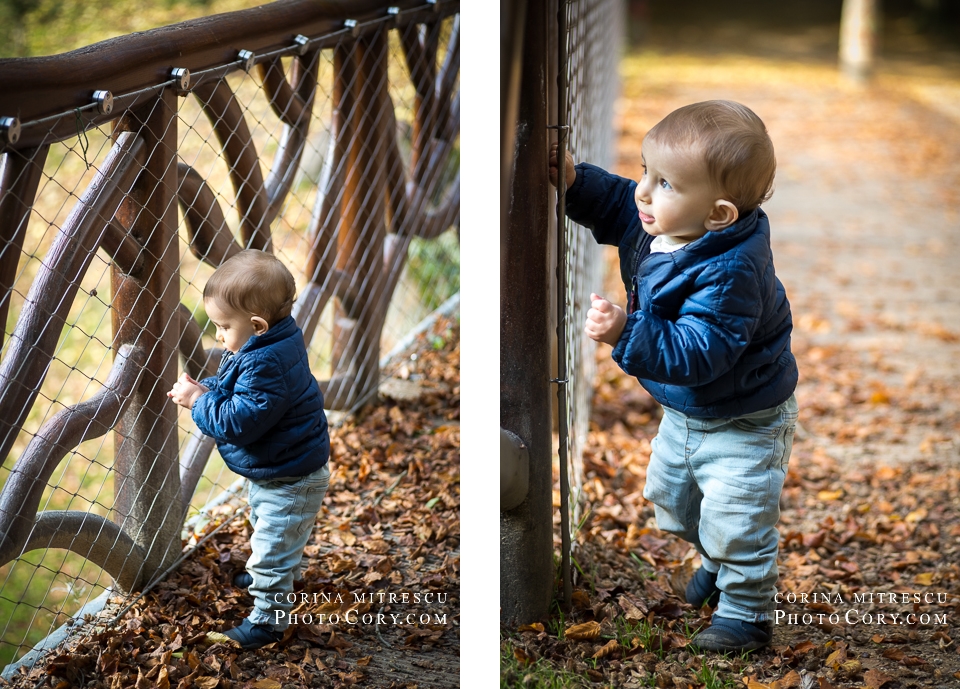 one-year-old-potrait-parc