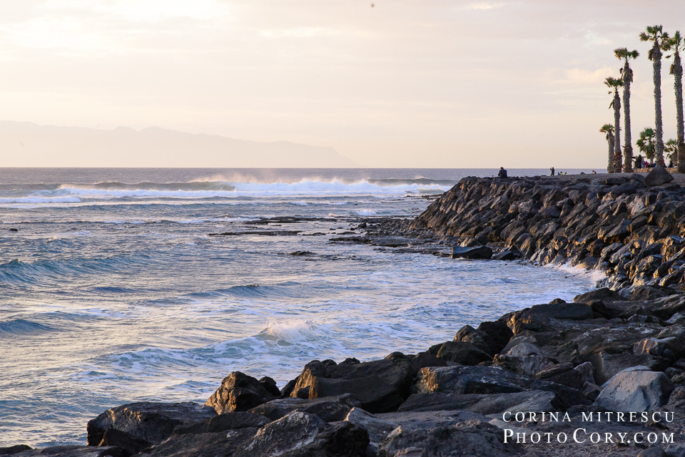 playa-de-las-americas